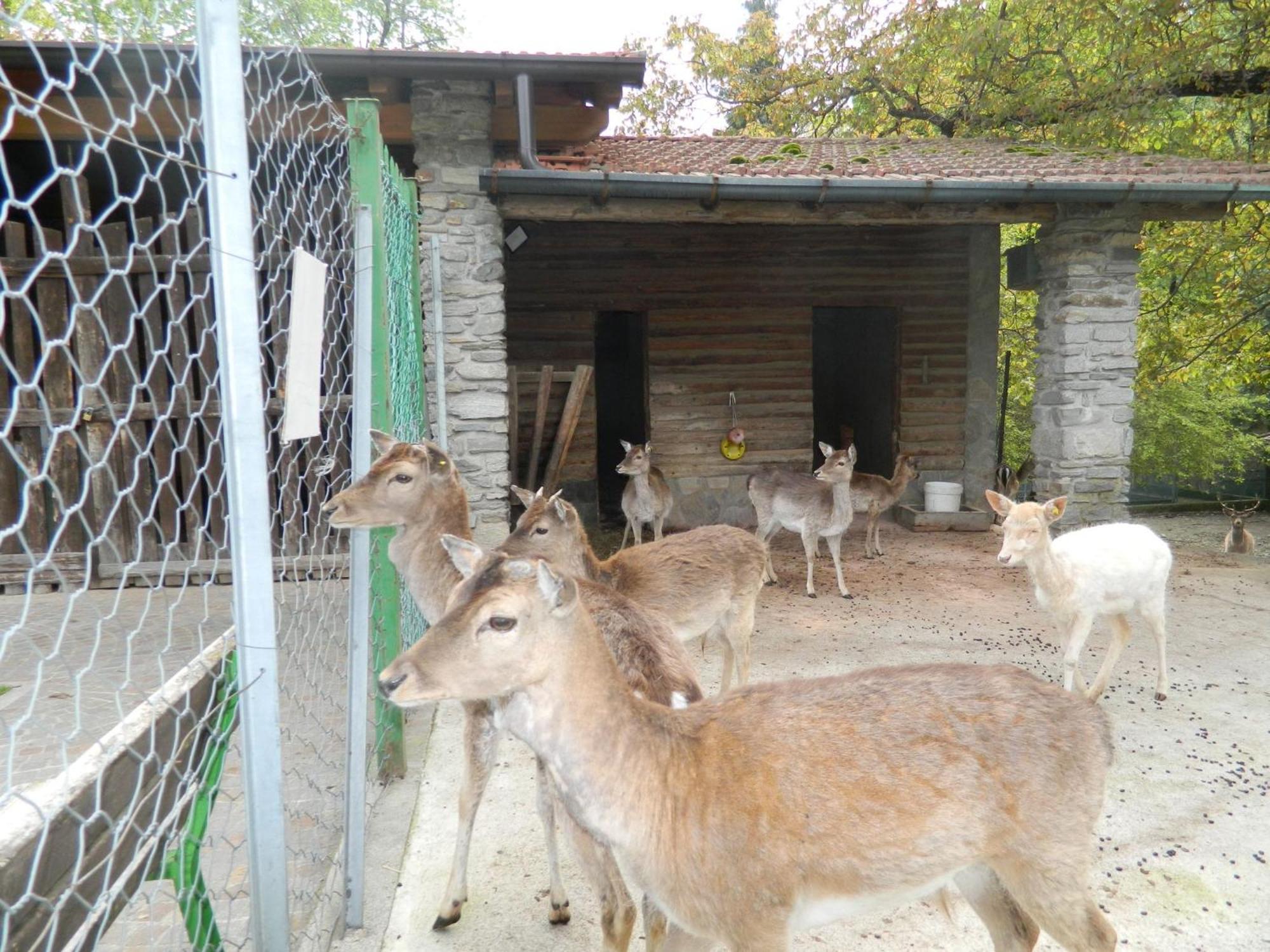 Dumenza Lago Maggiore Holiday House, Lake View, Vignone מראה חיצוני תמונה
