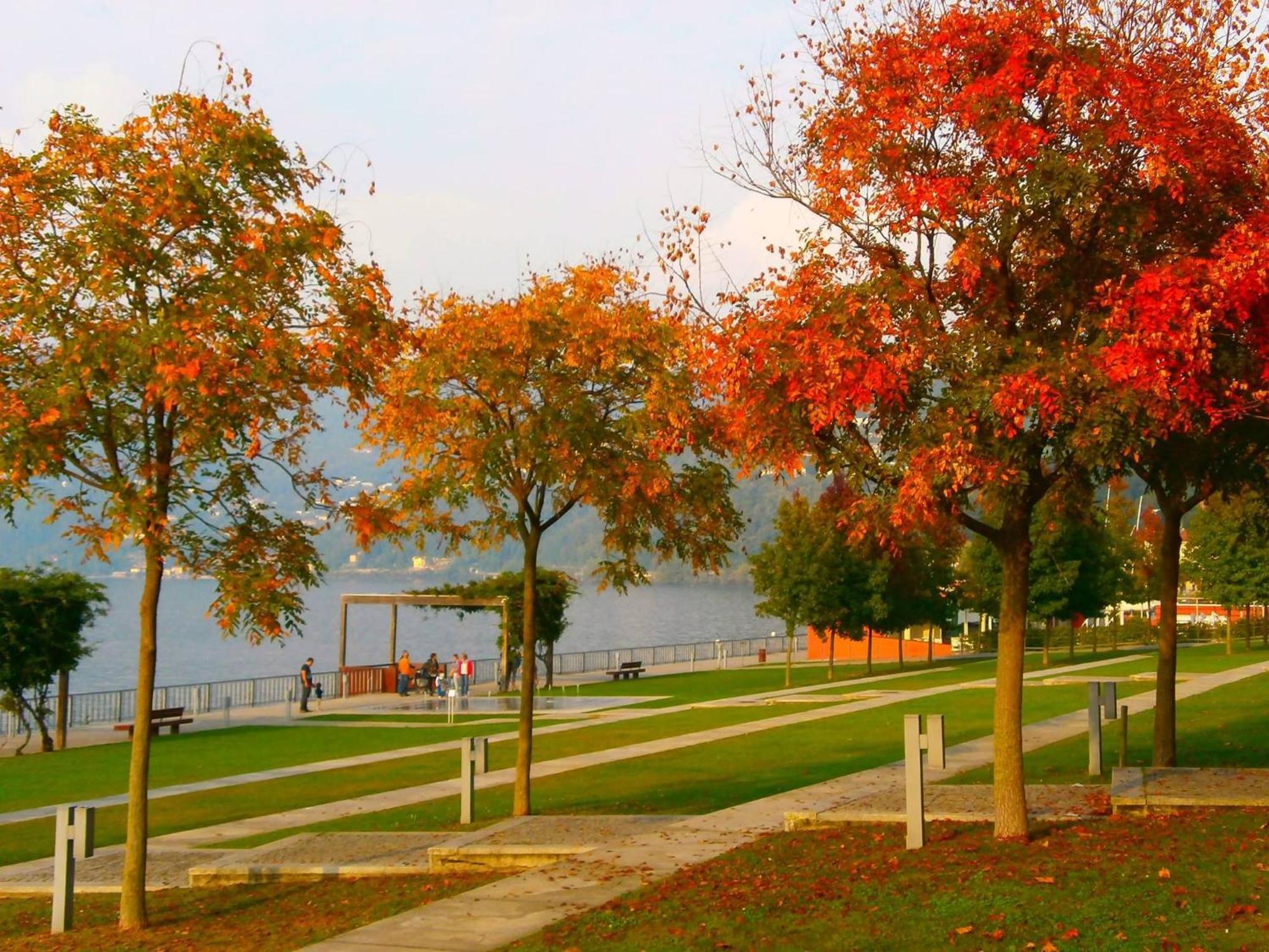 Dumenza Lago Maggiore Holiday House, Lake View, Vignone מראה חיצוני תמונה
